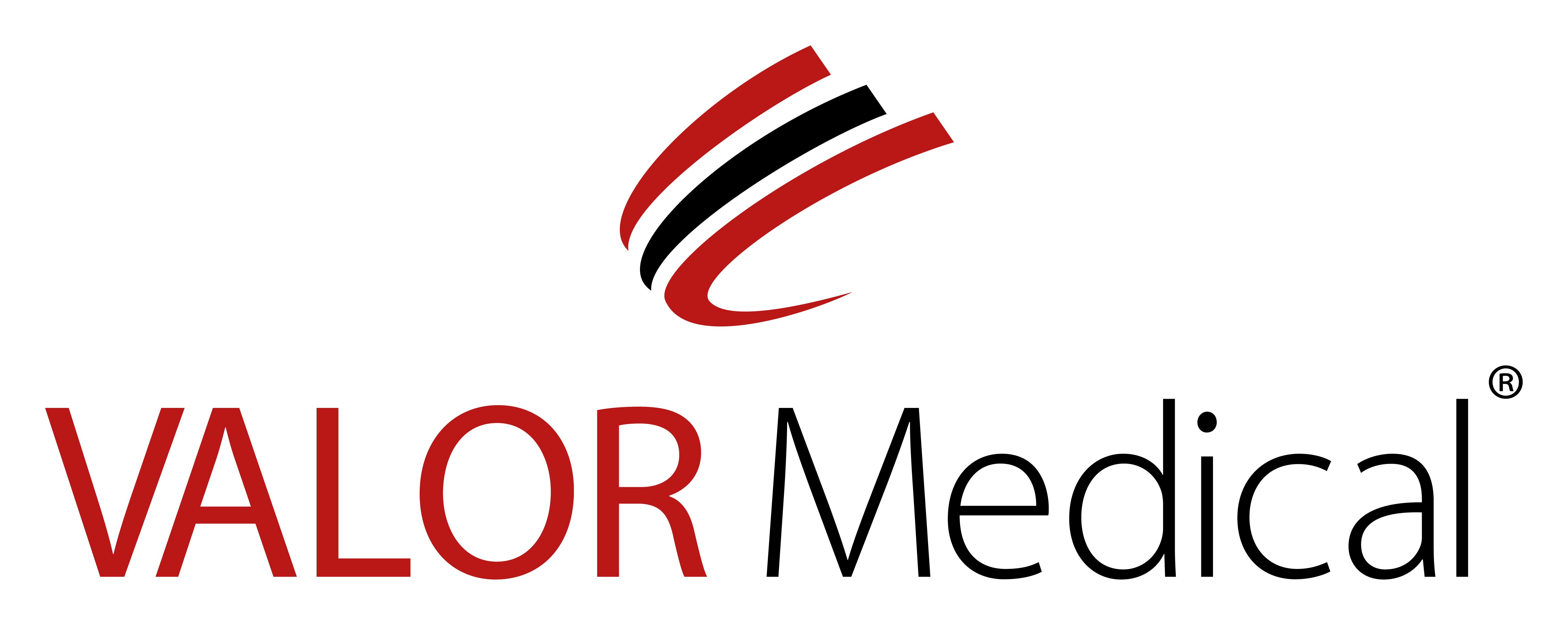 Valor Medical Logo
